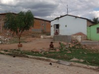 /album/fotos-edi%c3%a7%c3%b5es-anteriores-no-nordeste/gedc0327-jpg/