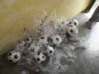 /album/fotos-edi%c3%a7%c3%b5es-anteriores-no-nordeste/sam-8066-jpg/